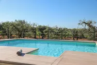 TD Trulli Albapetra Pool Olive Trees - Pools