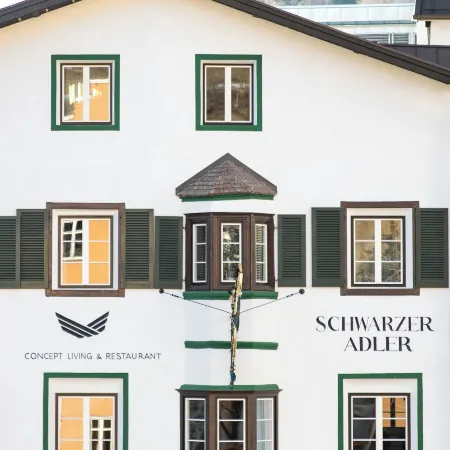 Schwarzer Adler - Concept Living