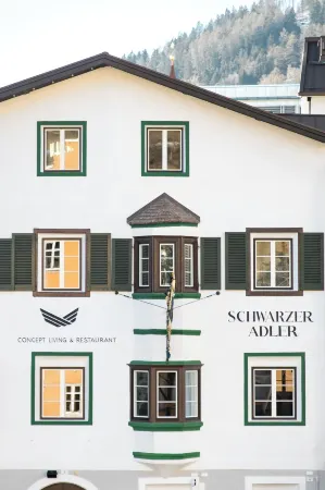 Schwarzer Adler - Concept Living Отели в г. Сан-Леонардо-ин-Пассирия