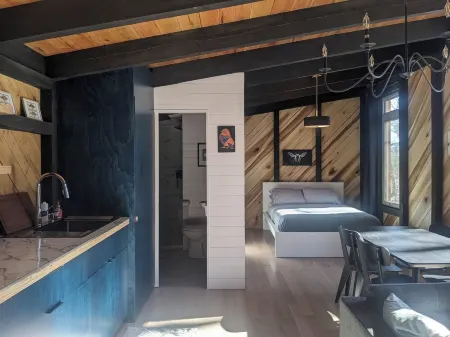 Modern Cloudland Cabin, 1.5 miles of private trails through 10 acres of woodland