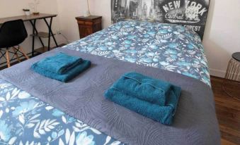 Charming flat - 1BDR/2P - Montargis centre
