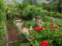 Apartment in priv. holiday home
