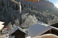 Apartment in a chalet of character with ski access Hotels in Montriond