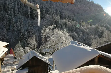 Apartment in a chalet of character with ski access