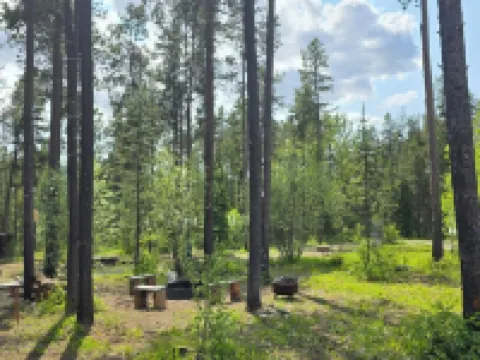 Themed Bear's Den Cabin__nestled in the pines minutes outside of Glacier Park. Hotels in Coram