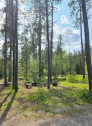 Themed Bear's Den Cabin__nestled in the pines minutes outside of Glacier Park.