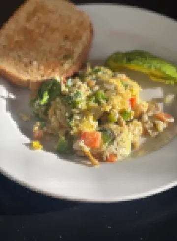 Plaza Hotel Denver Central