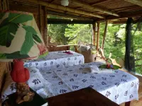 The Osa Peninsula is teeming with exotic monkeys, birds, and wildlife. Hotels in Puerto Jimenez