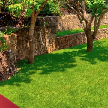 Casa las Mariposas Bungalow 7