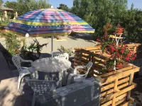 Lovely little house in Salento, in the countryside with garden and solarium