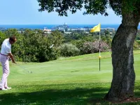 Villa Among Centuries-Old Olive Trees Just Minutes from the Sea - 2-Star