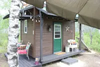 Micro-cabin nestled in secluded forest