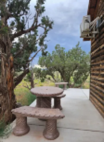 The Woody Cabin