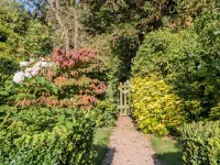 Woodlands Cottage Hotels in Upper Sapey