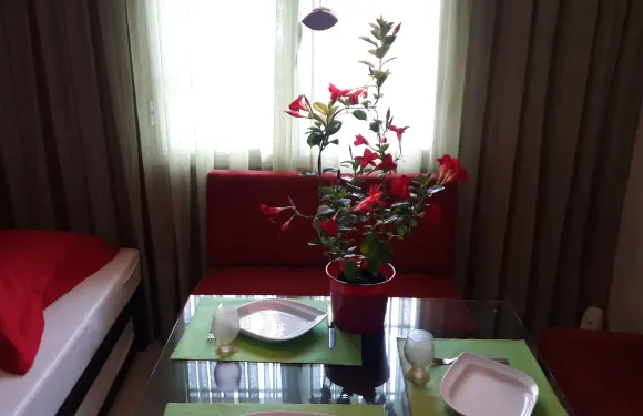 獨立閣樓酒店 216