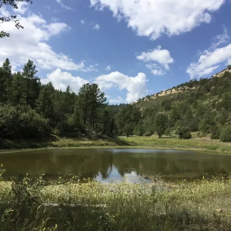 Valentine's Northern New Mexico Mountain Ranch on Colorado Border 2 Bedroom Retreat by RedAwning