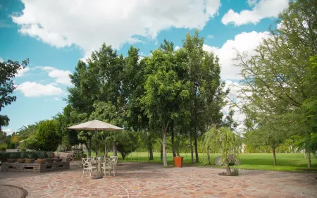 María & Bernardo Casa - Viñedo