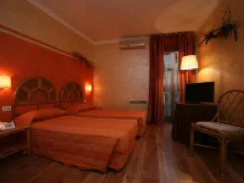 ホテル ル パジョ アオスタのホテル