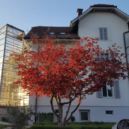 Casa Carmela