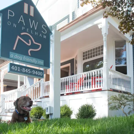 Paws on Pelham