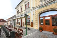 Hotel U Zeleneho Stromu Hotels in Nepomuk