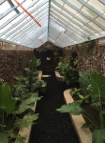Azores Pedra Apartments T0 e T1 Hotel a 