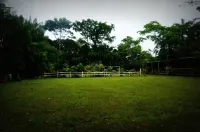 Villa Hermosa de Tambopata Casa Hospedaje & Hostel - Pet friendly