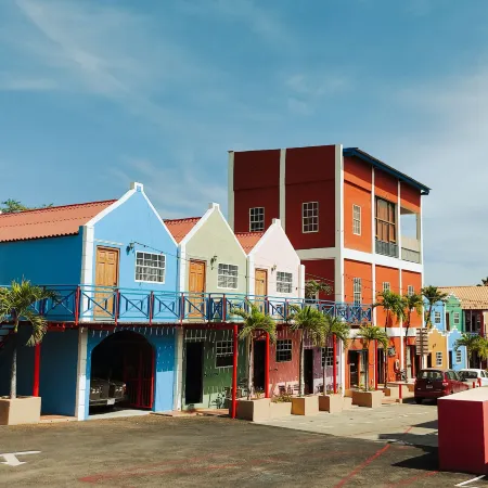 The Ritz Village