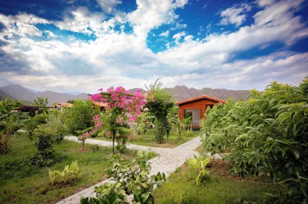 Lemon Garden Lodge Отели рядом с достопримечательностью «Фаселис»