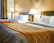 Quality Inn Florence Hotels in Florence