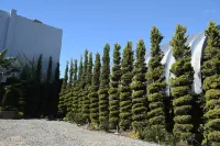 호텔 퍼시픽 티후아나