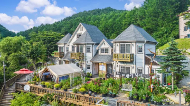 평창 나대관령왔어펜션 오션700 주변 호텔