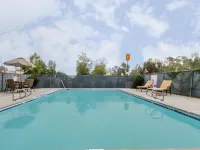 Super 8 by Wyndham Willows