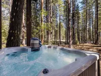 Tarly by AvantStay Hotels in Incline Village