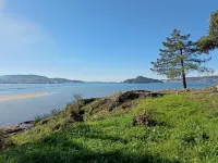 Kamala Estudio Ponte Caldelas