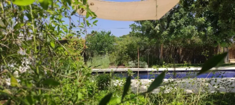 This public bus was converted into a cool and comfortable living space. Located. Hotels in Petach Tikva