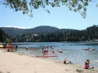 1940s Storybook Knotty Pine Cabin in Crestline, Absolute Privacy Hotels in Crestline