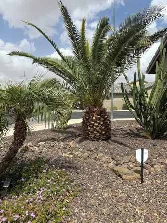 Spacious 4-bedroom house with WiFi, AC in fabulous Mesa Отели рядом с Аэропорт Феникс-Меса Гейтвей