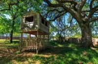 Cottage Creek Retreat l Hot Tub, Pet Friendly Yard, & 1.2 Acres Near Main St