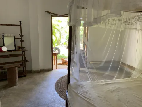 Cafofo_amazônia Selva Tropical y Playa !