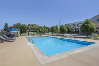 Best Western North Edge Inn - Pools
