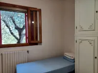 Verde Mare apartment with sea view surrounded by ancient olive trees animals allowed