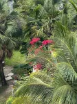 Charming beach front condo, Freeport ,Coral Beach, with AC/WiFi, salon/spa, pool