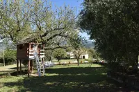 A few minutes from Rome and other centers Farmhouse in the Umbrian village with pets allowed فنادق في Calvi dell'Umbria