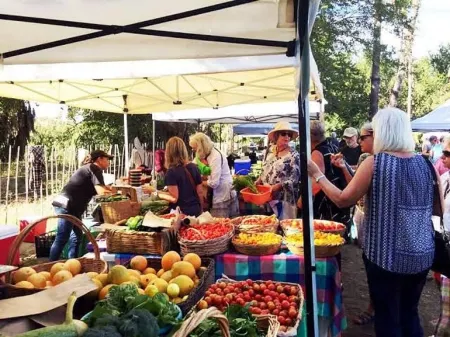 Casa Kante, acogedora casita en el corazon de San José del Cabo