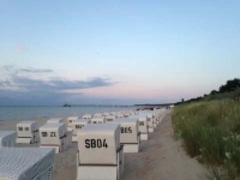 Newly renovated and cozy apartment. Pet friendly!