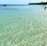 Private Penthouse PR Paradise w/ private rooftop terrace!