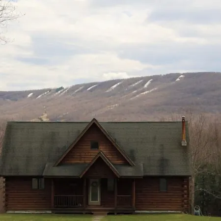 Stunning Catskills Cabin Getaway, facing BelleAyre