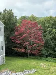 Exclusive Mountain Retreat – 10 Minutes from Downtown Gatlinburg