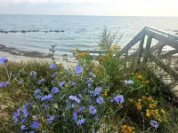 Cozy Retreat with Sauna - By Traum Ferienwohnungen Hotels in Stege